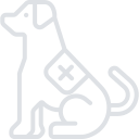 rescue-dog